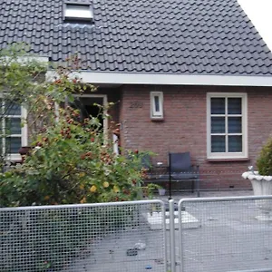 Dendolili Ámsterdam